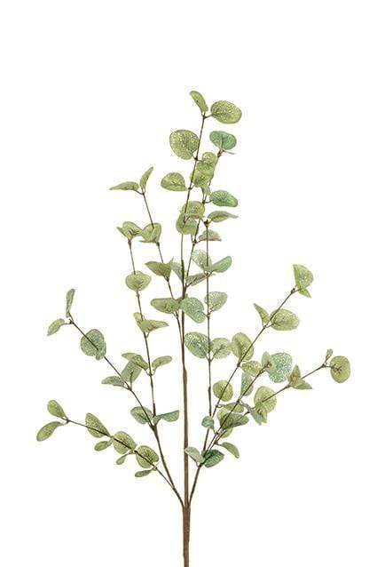 Eucalyptus Spray 85cm Stem — Windlebridge Garden Nursery